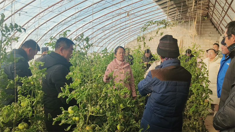 田间地头送温暖，农技人员在行动-2.jpg