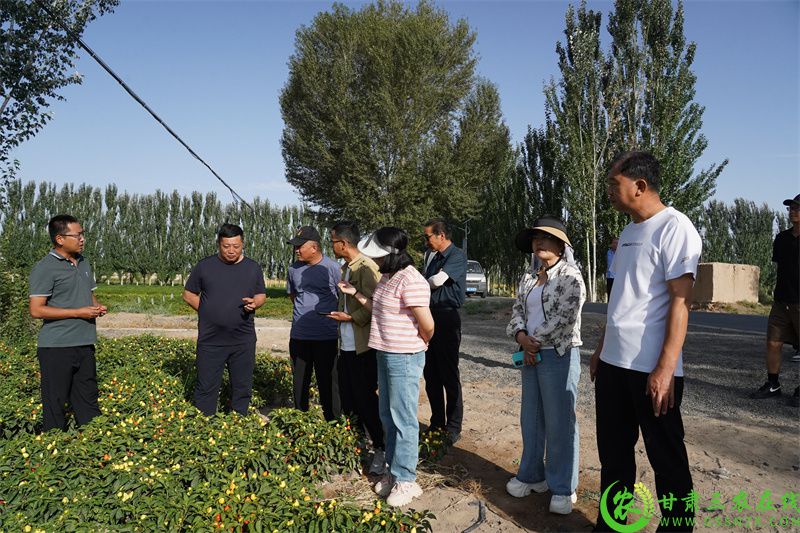 肃南县培训配图 (14).JPG