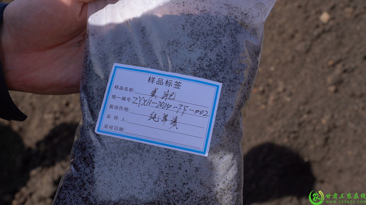 C2376T01.JPG