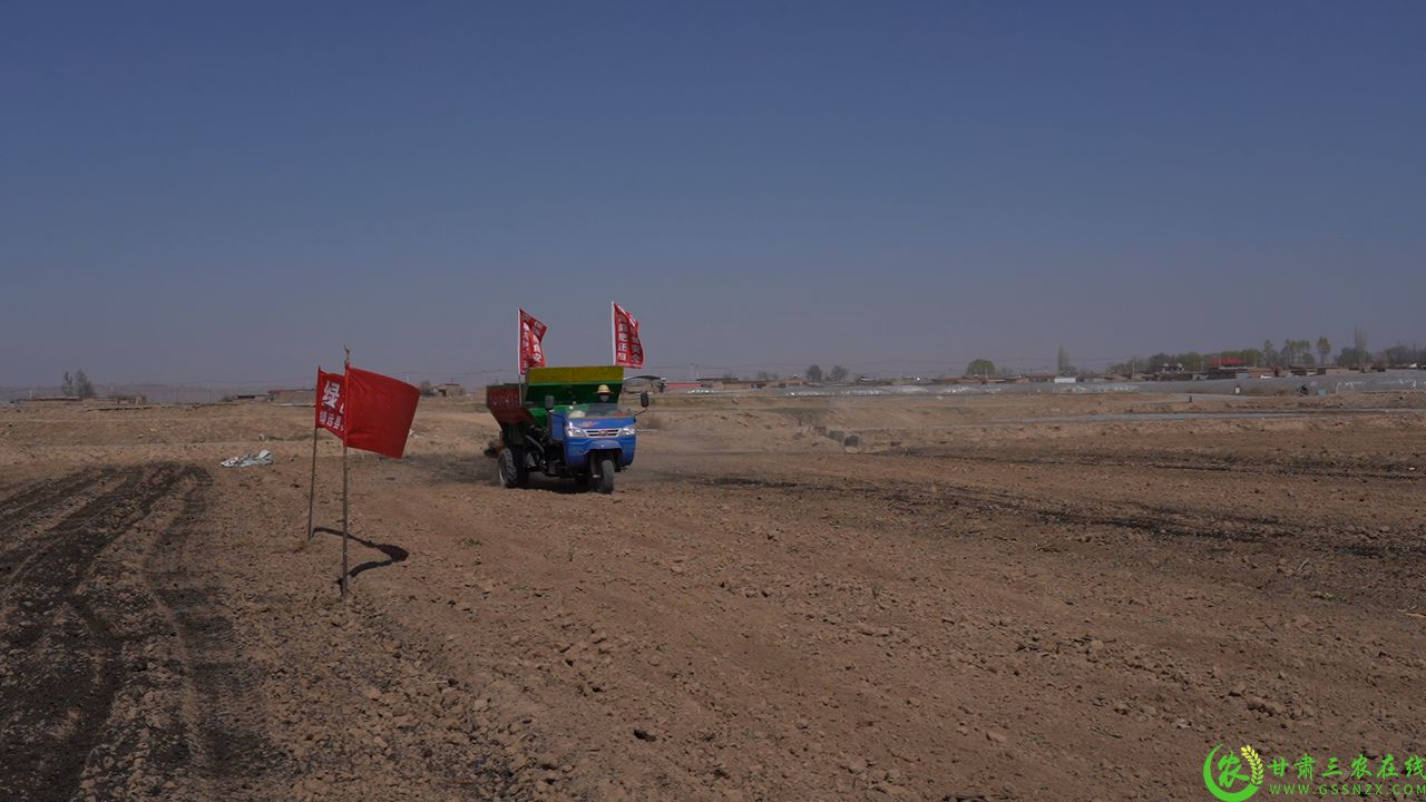 C2443T01.JPG
