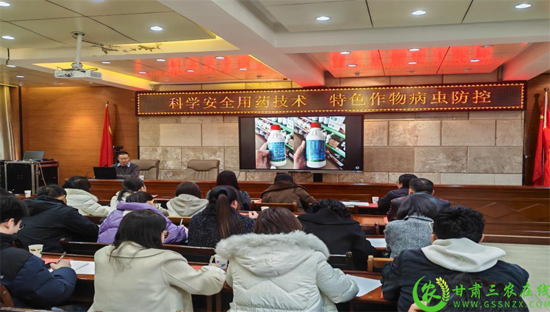 图片(1).png