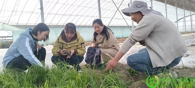 指导120250418102323.jpg