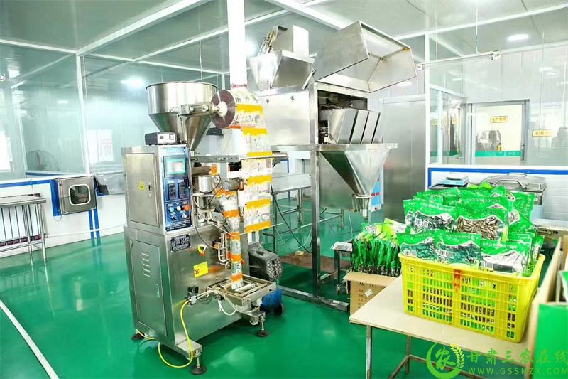 1.金塔县宏星食品有限公司的生产车间，自动化机器马力全开.jpg