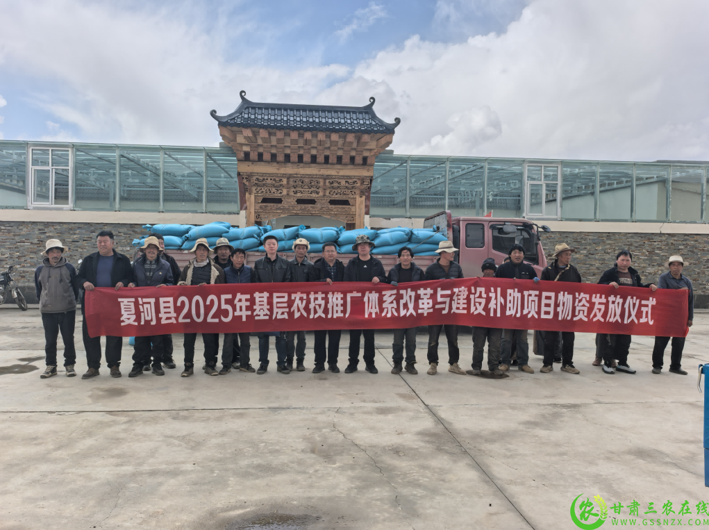 图片1(1).png