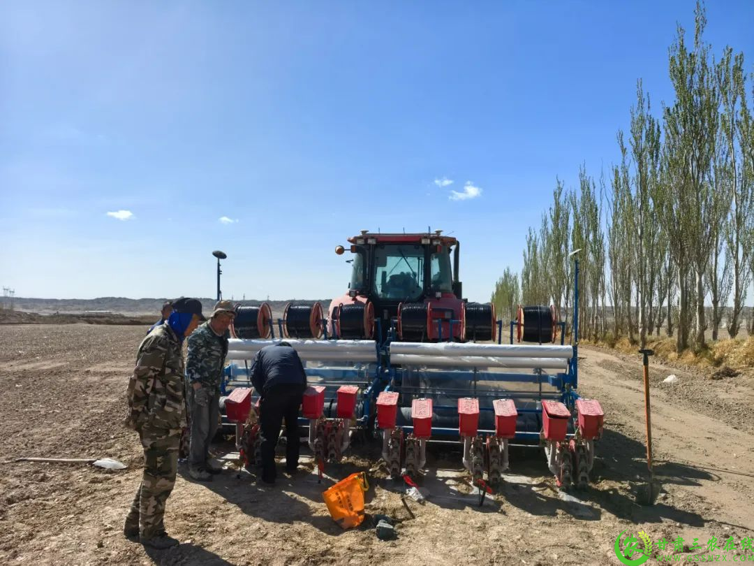 在六工村、开工村千亩优质机采棉种植示范基地播种现场，一台台装有北斗导航系统的大马力播种机，正按照预先设定的模式有序作业，播种、铺设滴灌带、覆膜、上土一气呵成.png