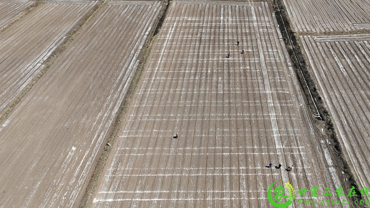 083defa5b1d04ec793cc7d101e187486.png