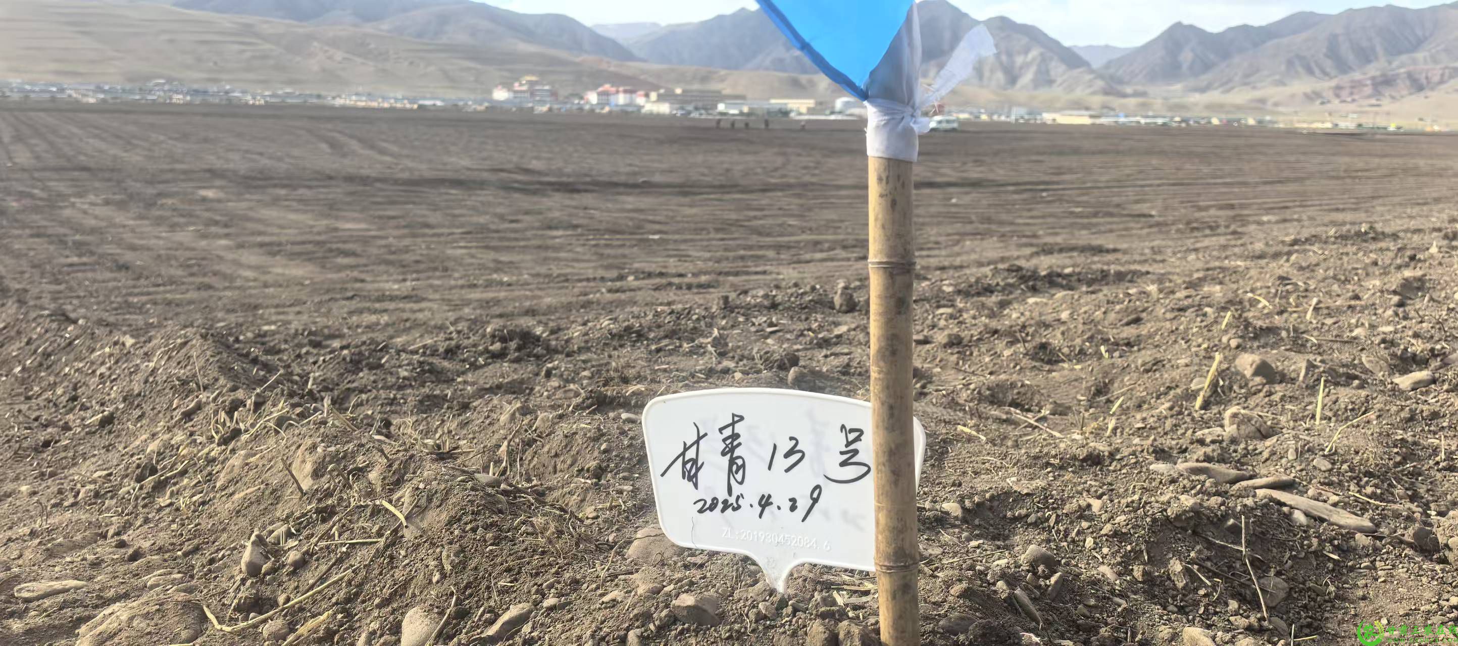 微信图片_20250501082137.jpg
