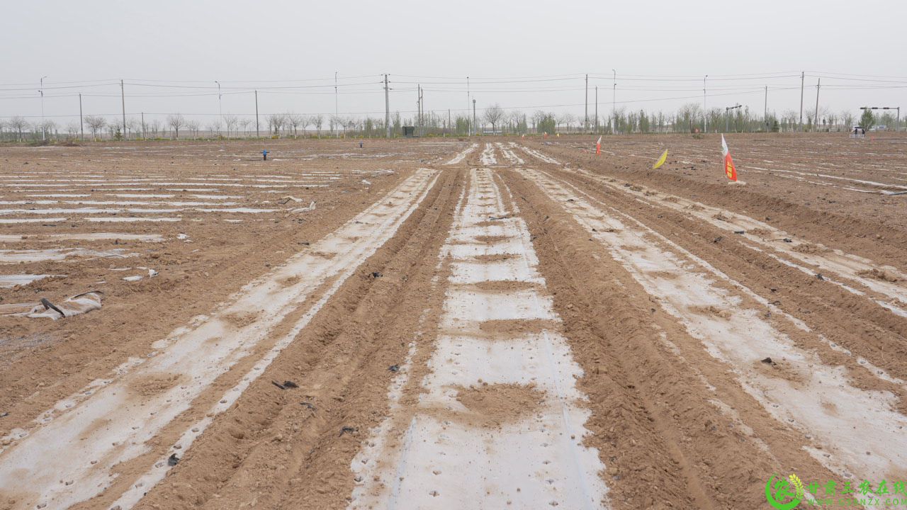C8853T01.JPG