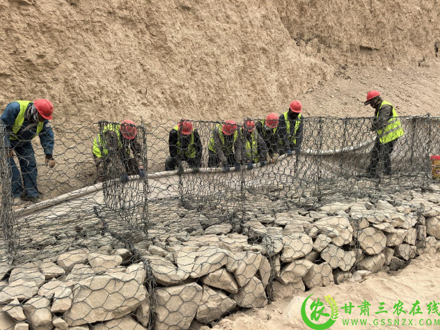 图片6(1).png