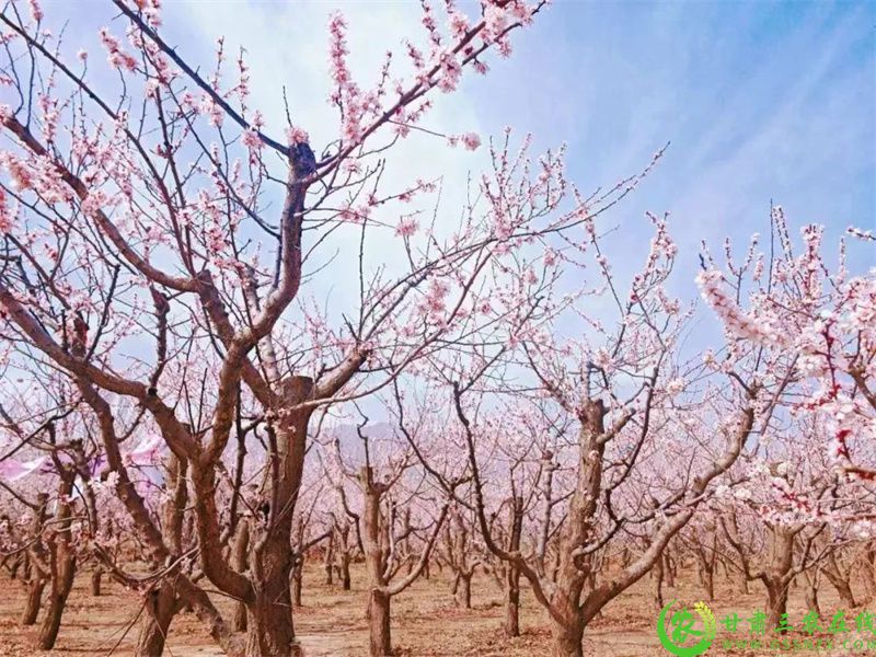 微信图片_20250514112701.jpg