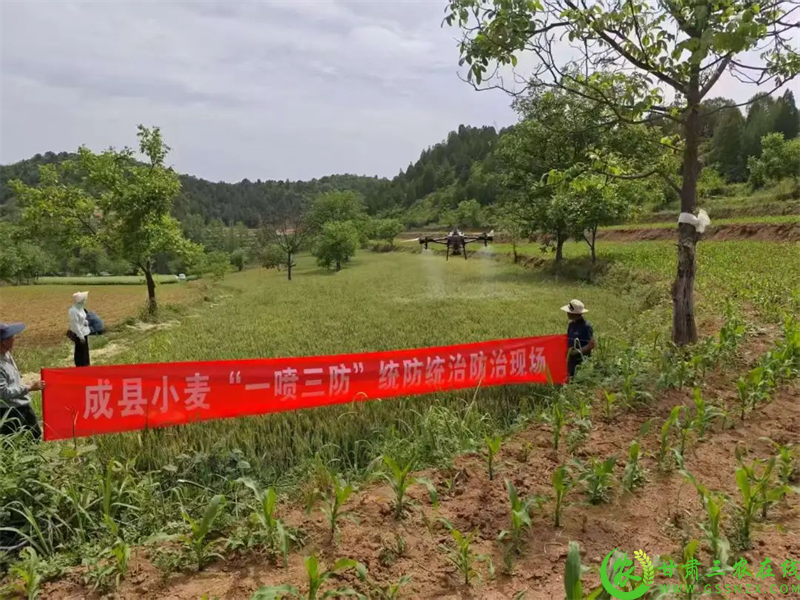 图片2.png