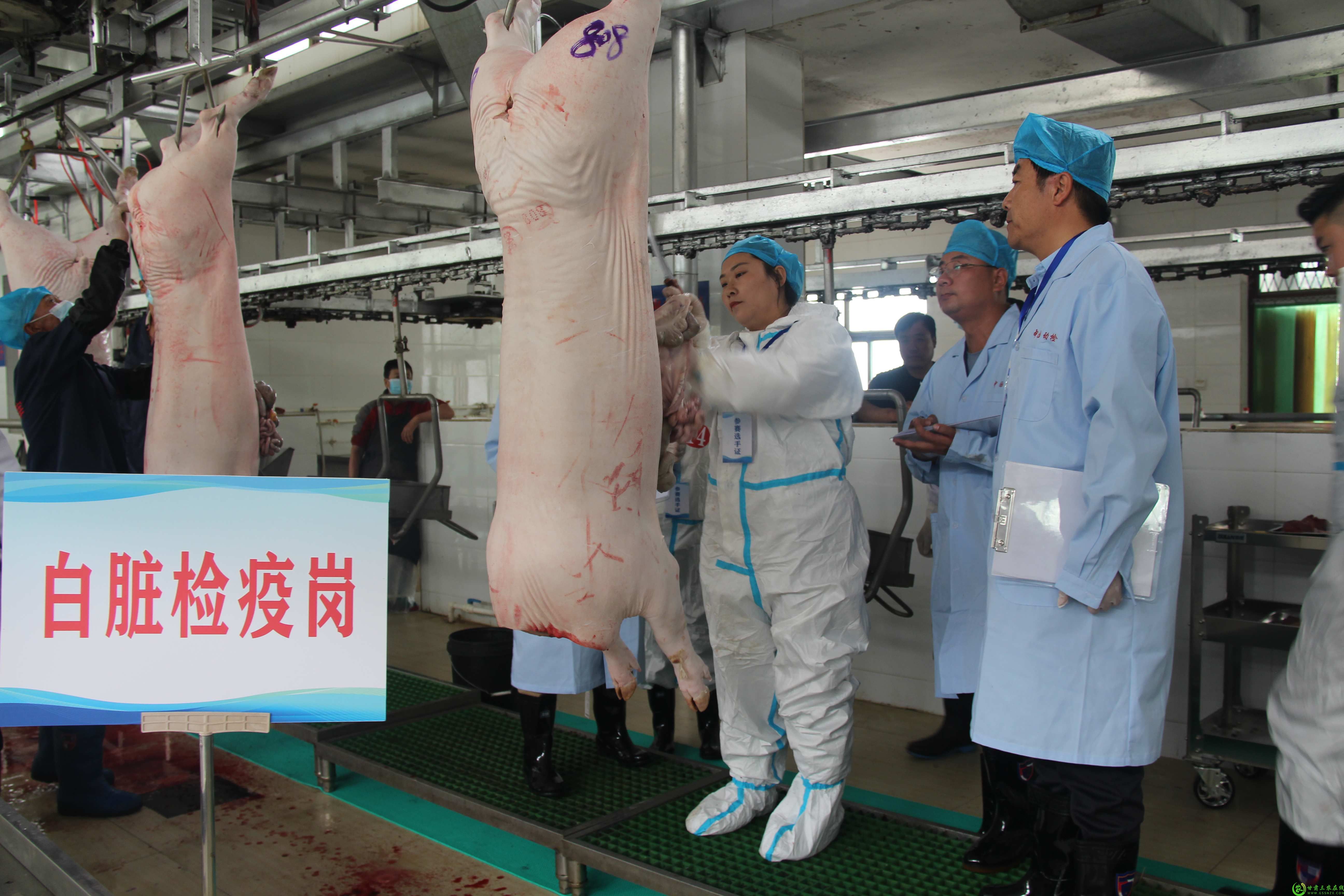白脏检疫岗(1).jpg