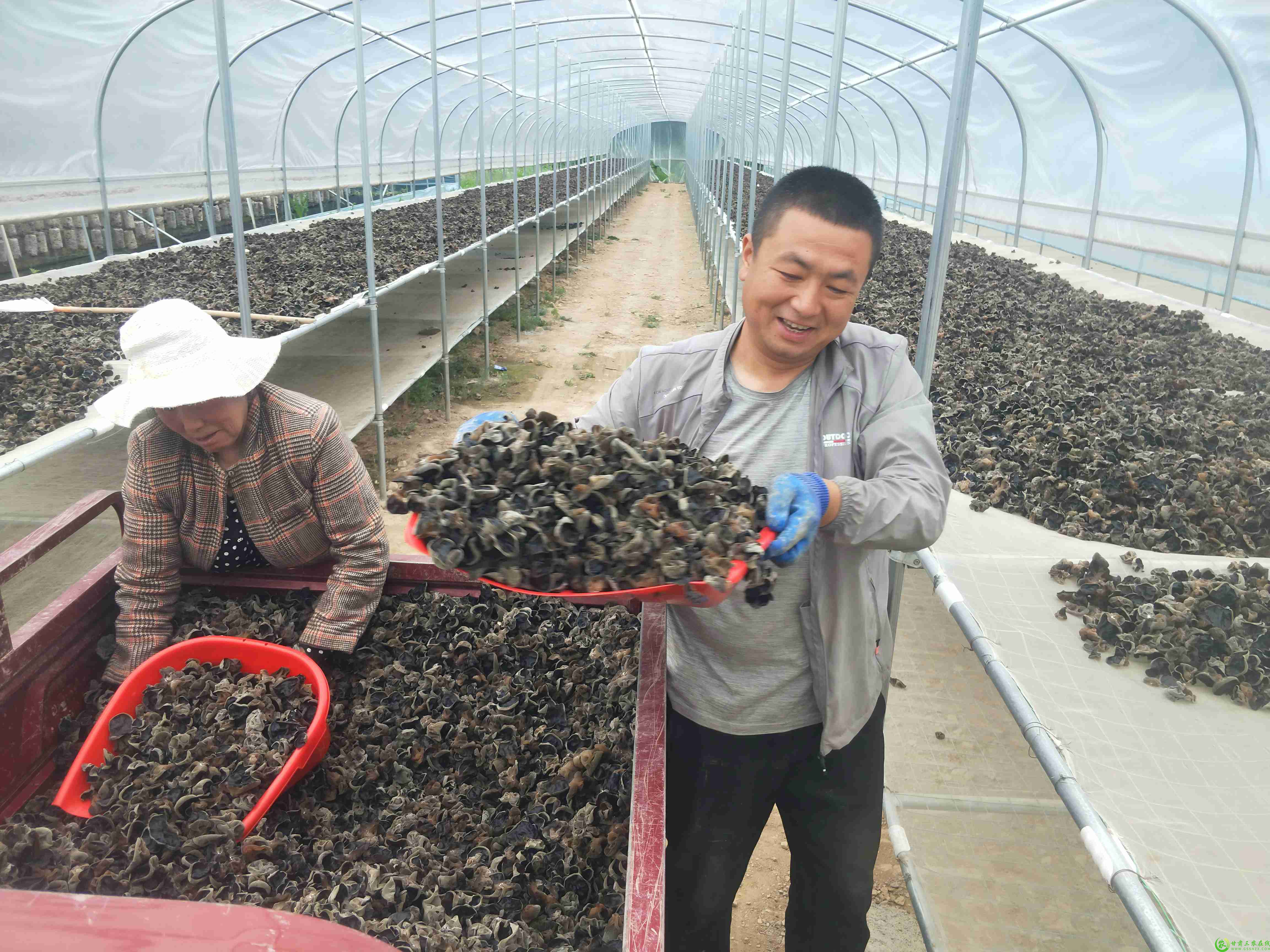 微信图片_20250604094120(1).jpg