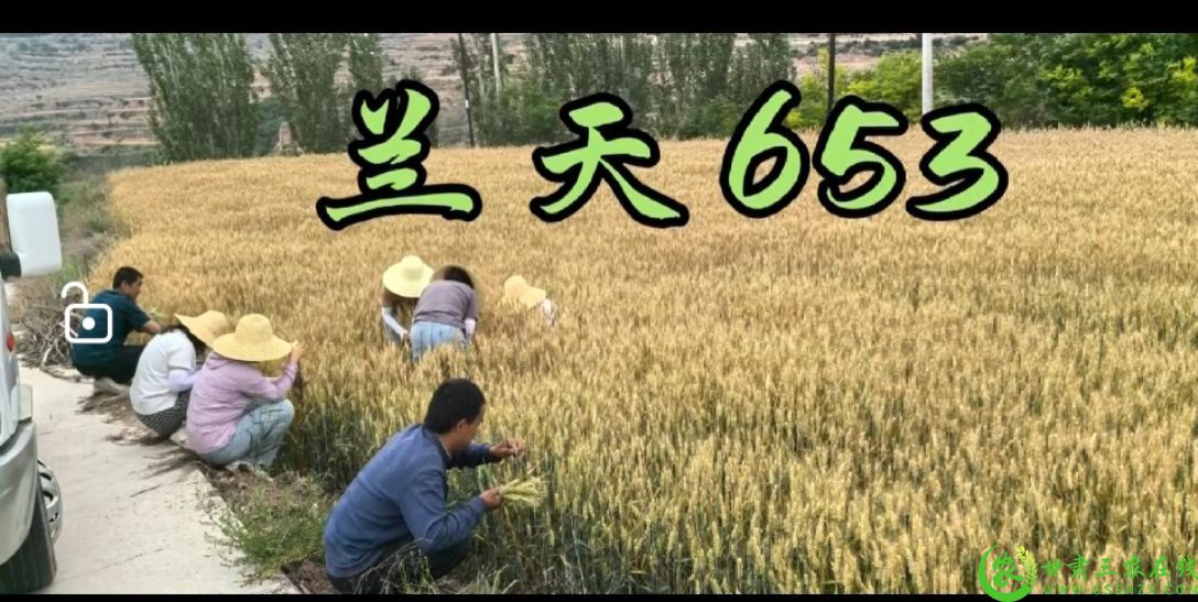 微信图片_20250628100314.jpg