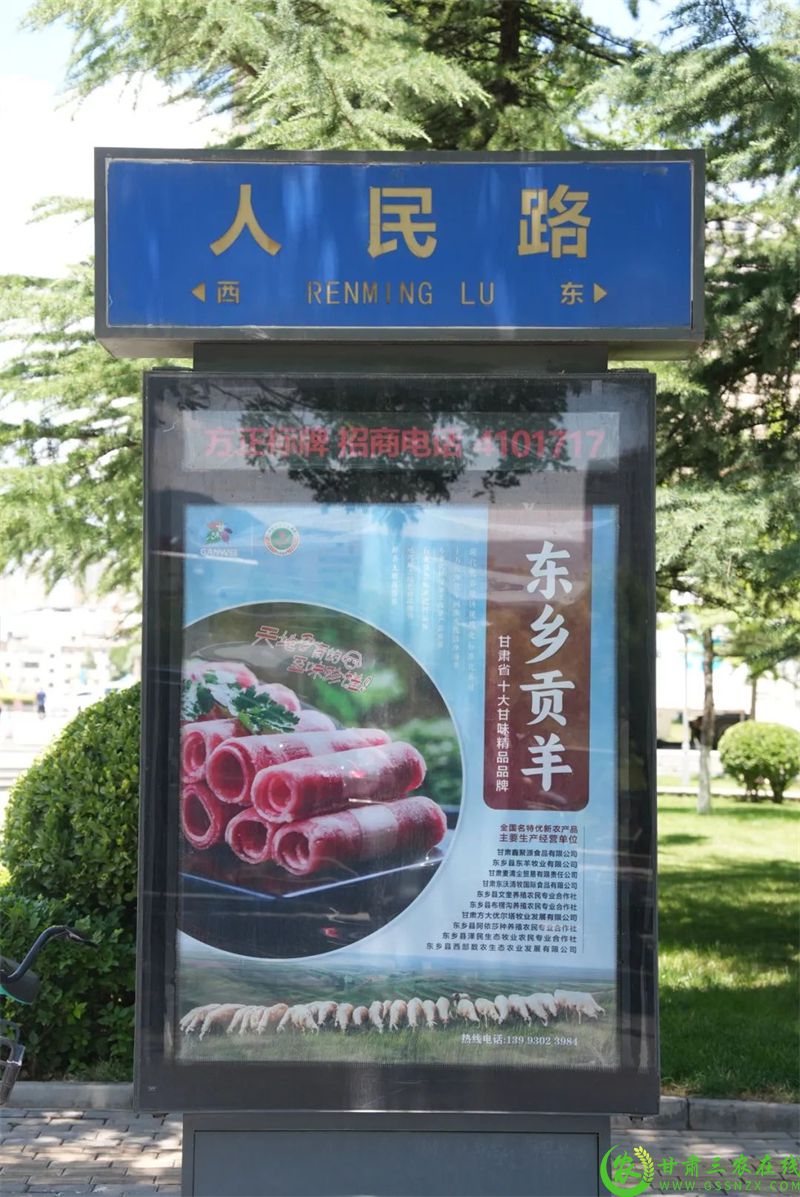685782f6-a4aa-4399-9409-e798811cab08.jpg