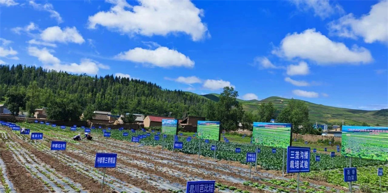 微信图片_20250709223611.jpg