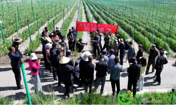 图片11(1)(1).png