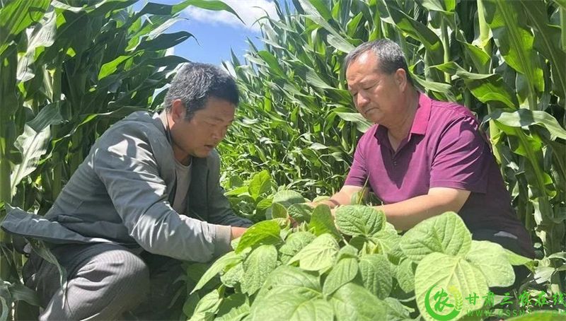 微信图片_20250715185953.jpg