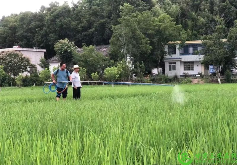 微信图片_20250722211614.jpg