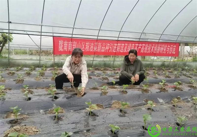 微信图片_20250722211629.jpg