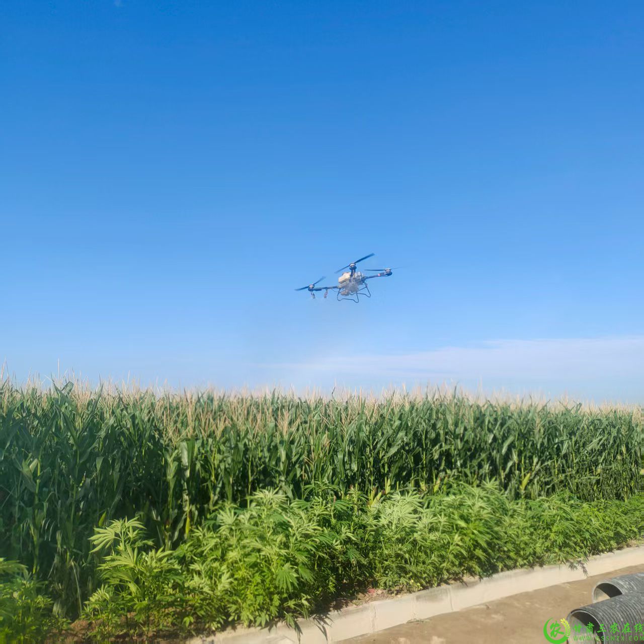 微信图片_20250801100827.jpg