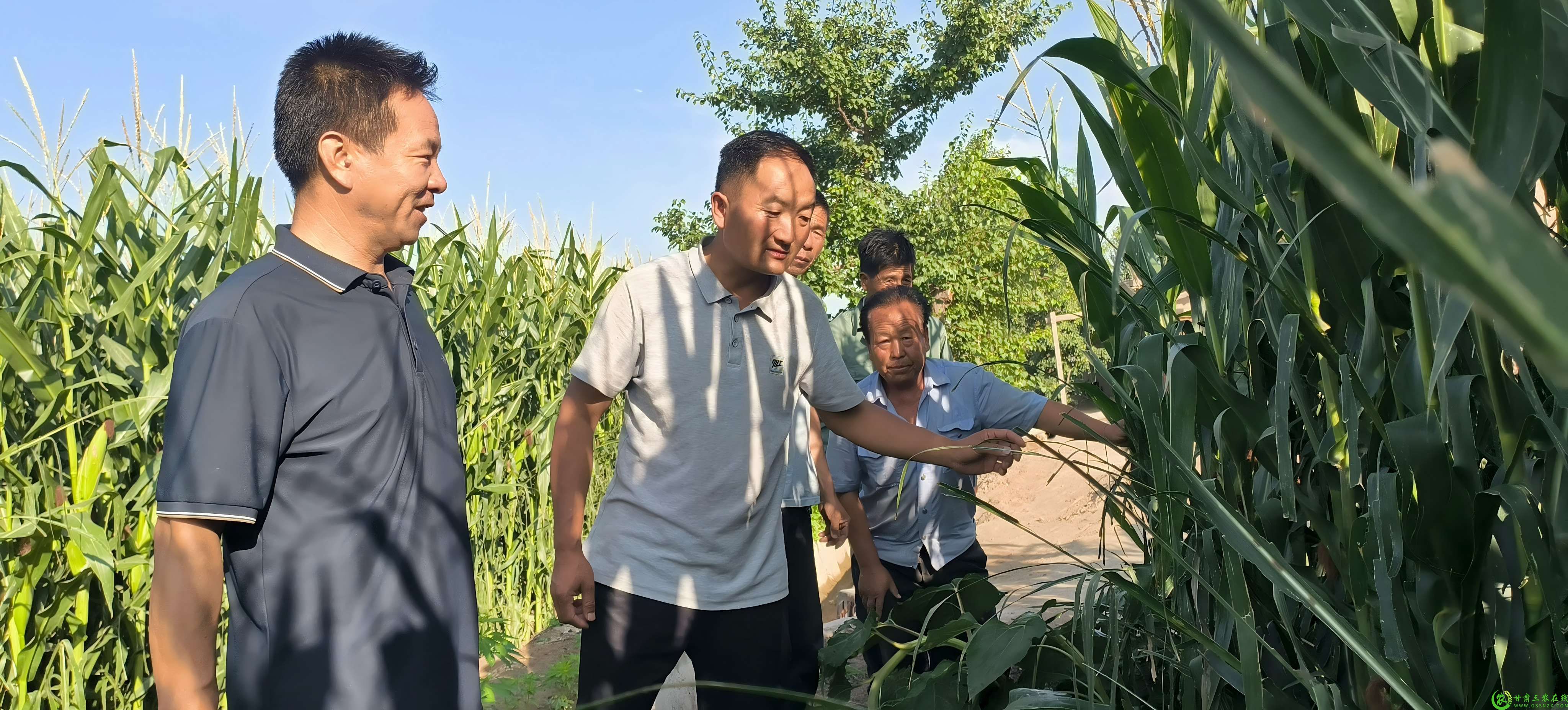 微信图片_20250801113539(1).jpg
