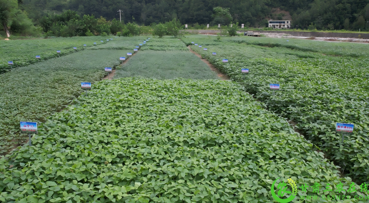 QQ截图20250819114813(1).png
