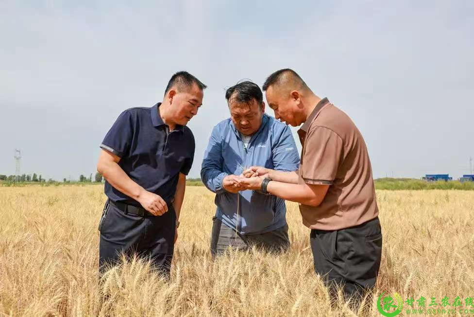微信图片_20250724150039.jpg