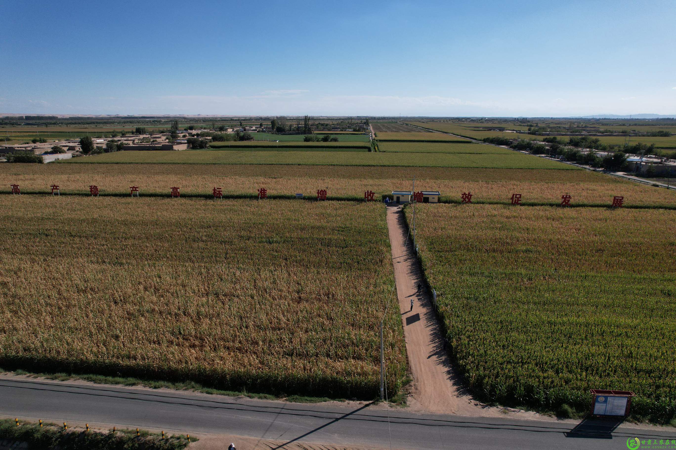 DJI_0654(1).jpg