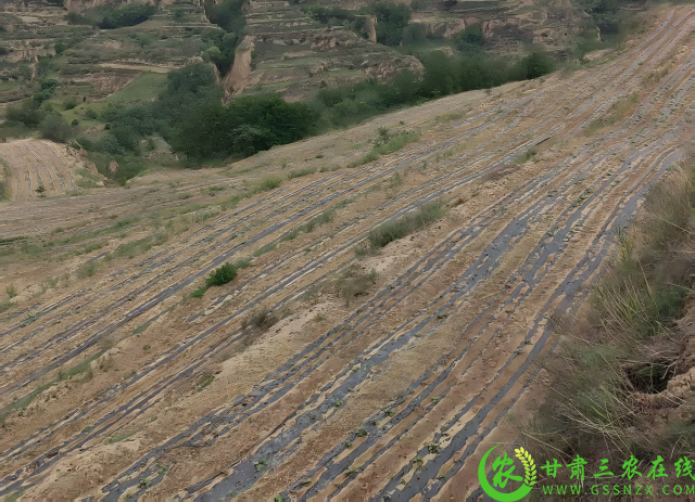 图片2(1).png