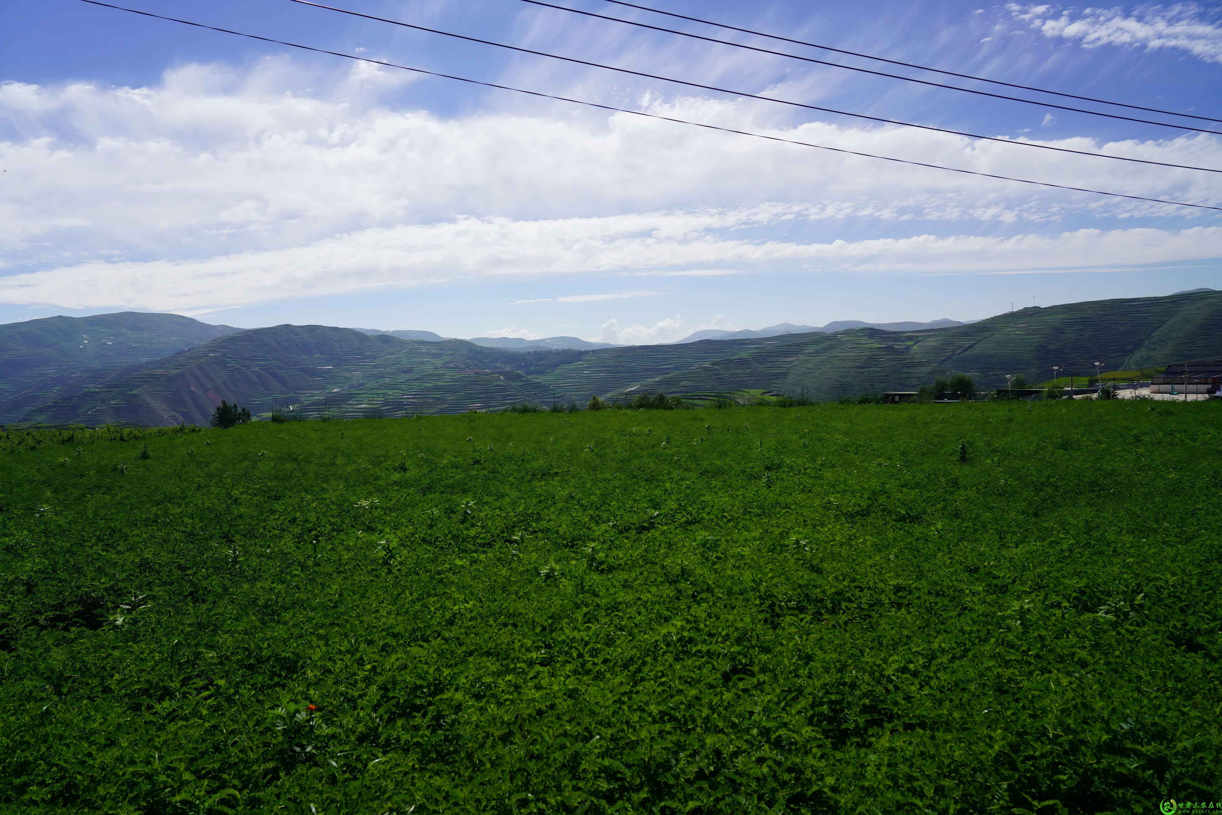 DSC04193(1).jpg