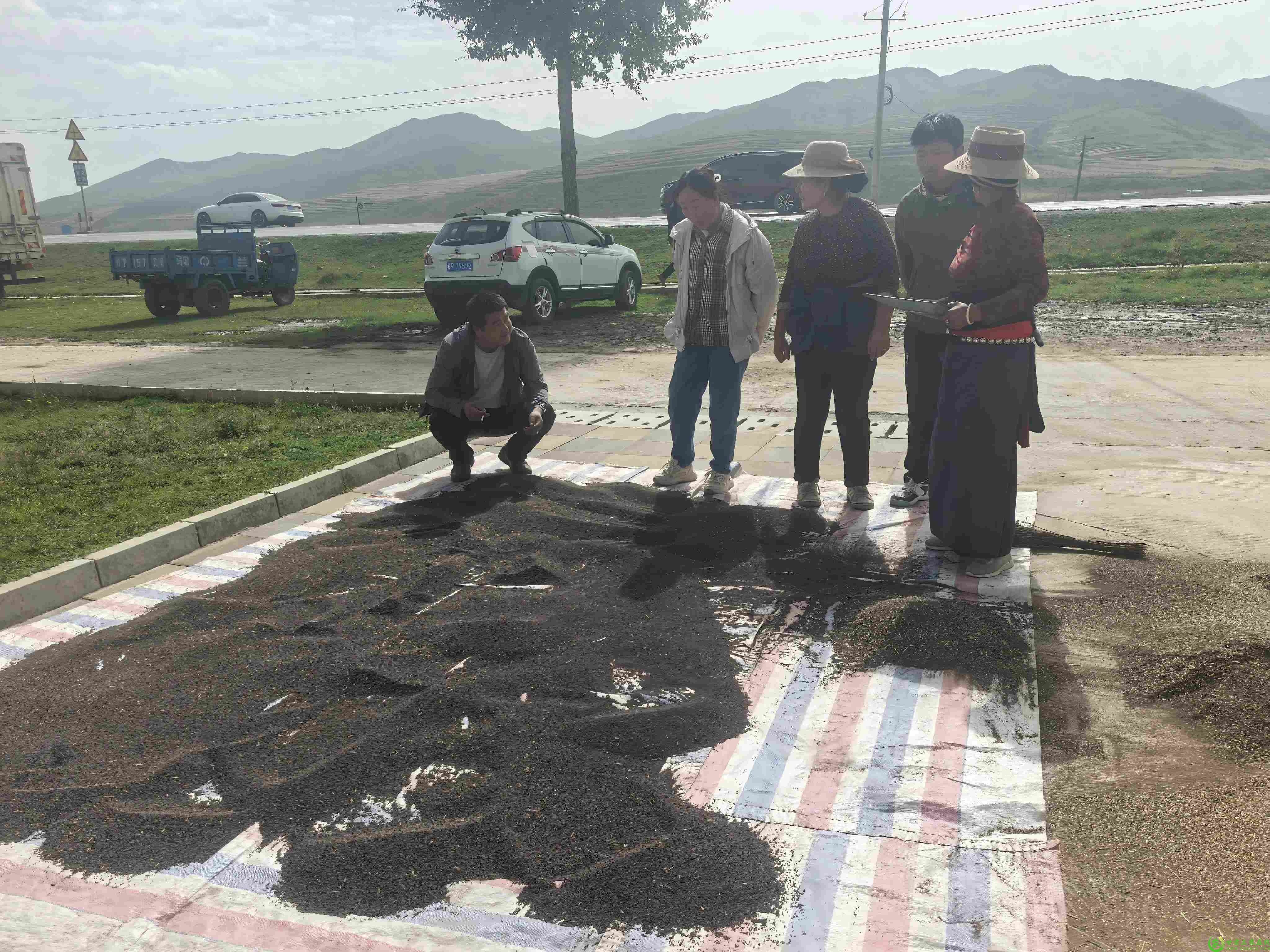 图片8.jpg