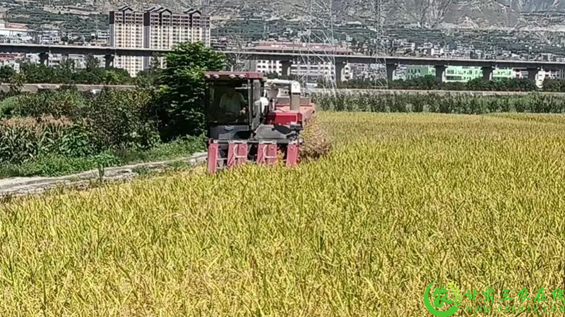 微信图片_2025-09-21_094721_638.png