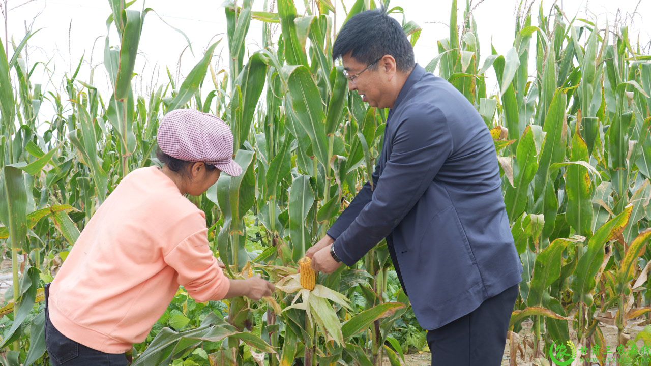 C2145T01.JPG