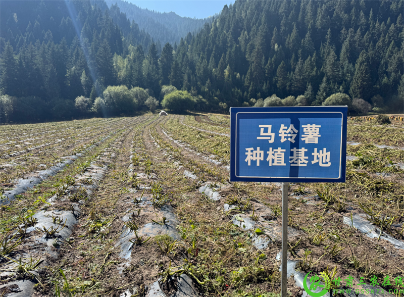 微信图片_2025-09-26_195029_684.png