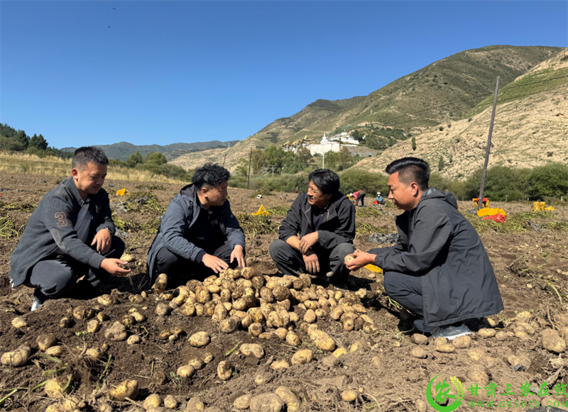 微信图片_2025-09-26_195050_701.png