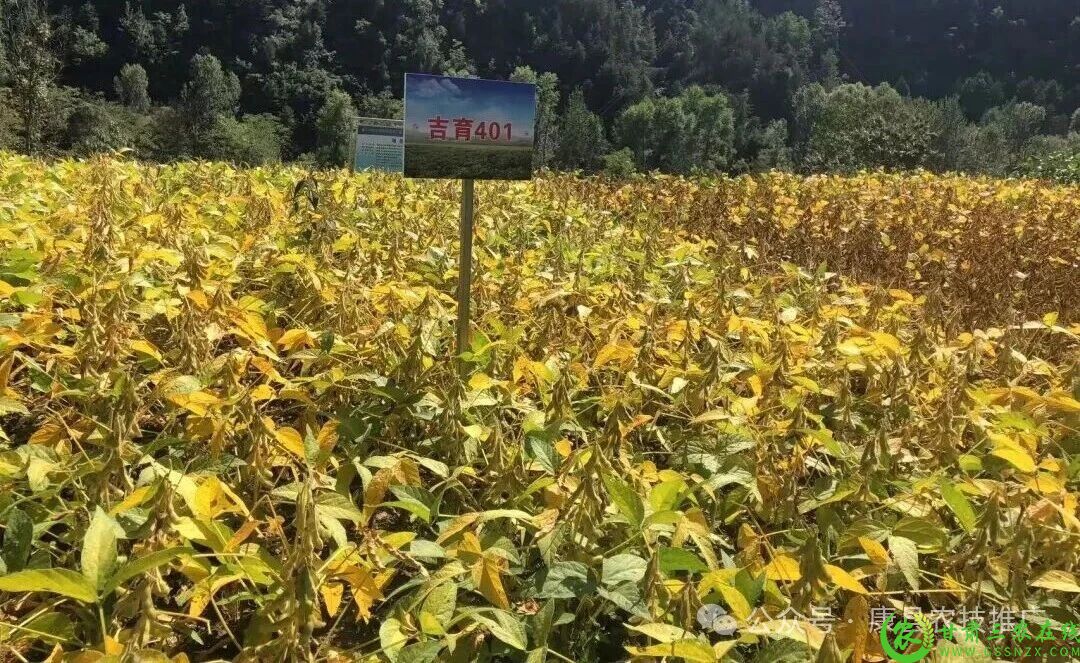 微信图片_2025-09-29_093242_465.jpg