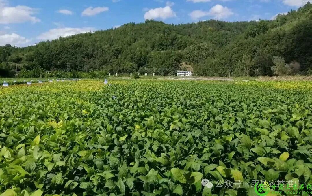 微信图片_2025-09-29_093250_659.jpg