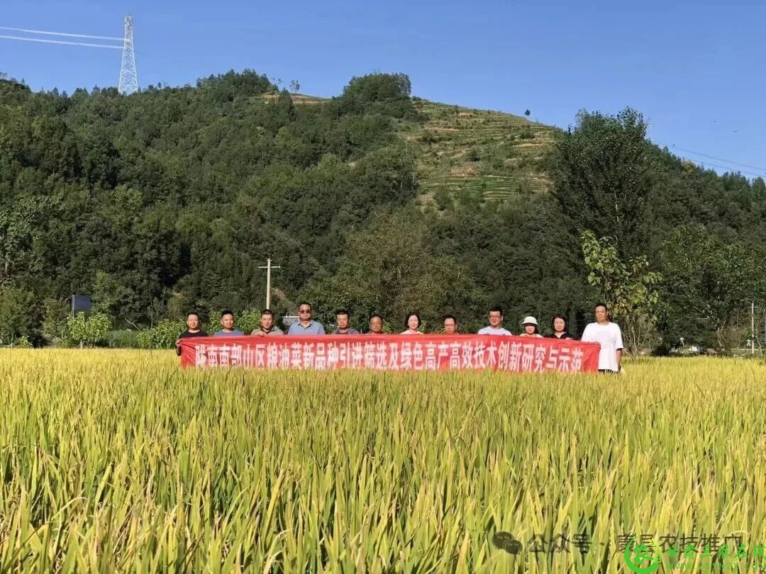 微信图片_2025-09-29_093627_778.jpg