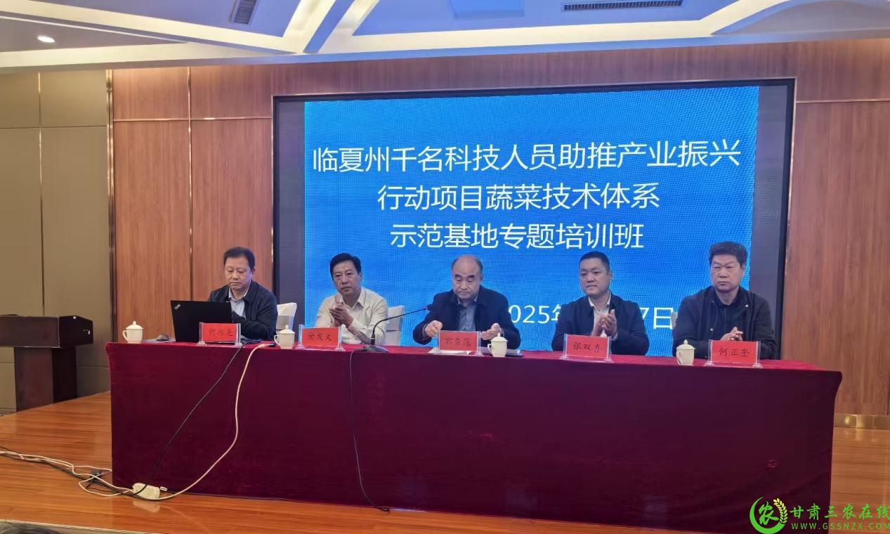图片1(1).png
