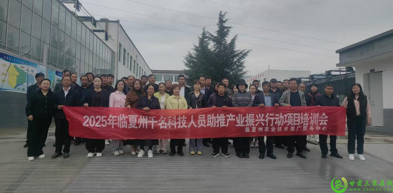 图片1(3).png