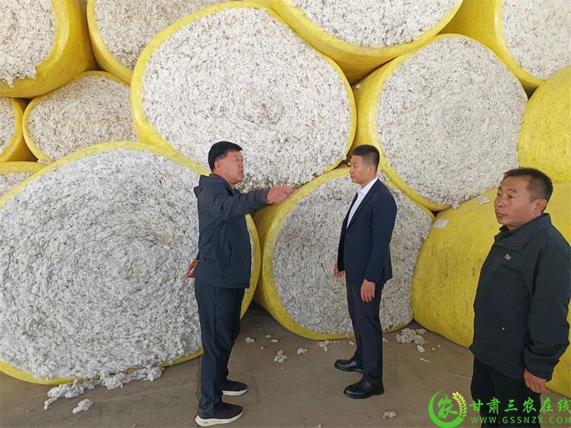 微信图片_2025-10-14_232734_132.jpg