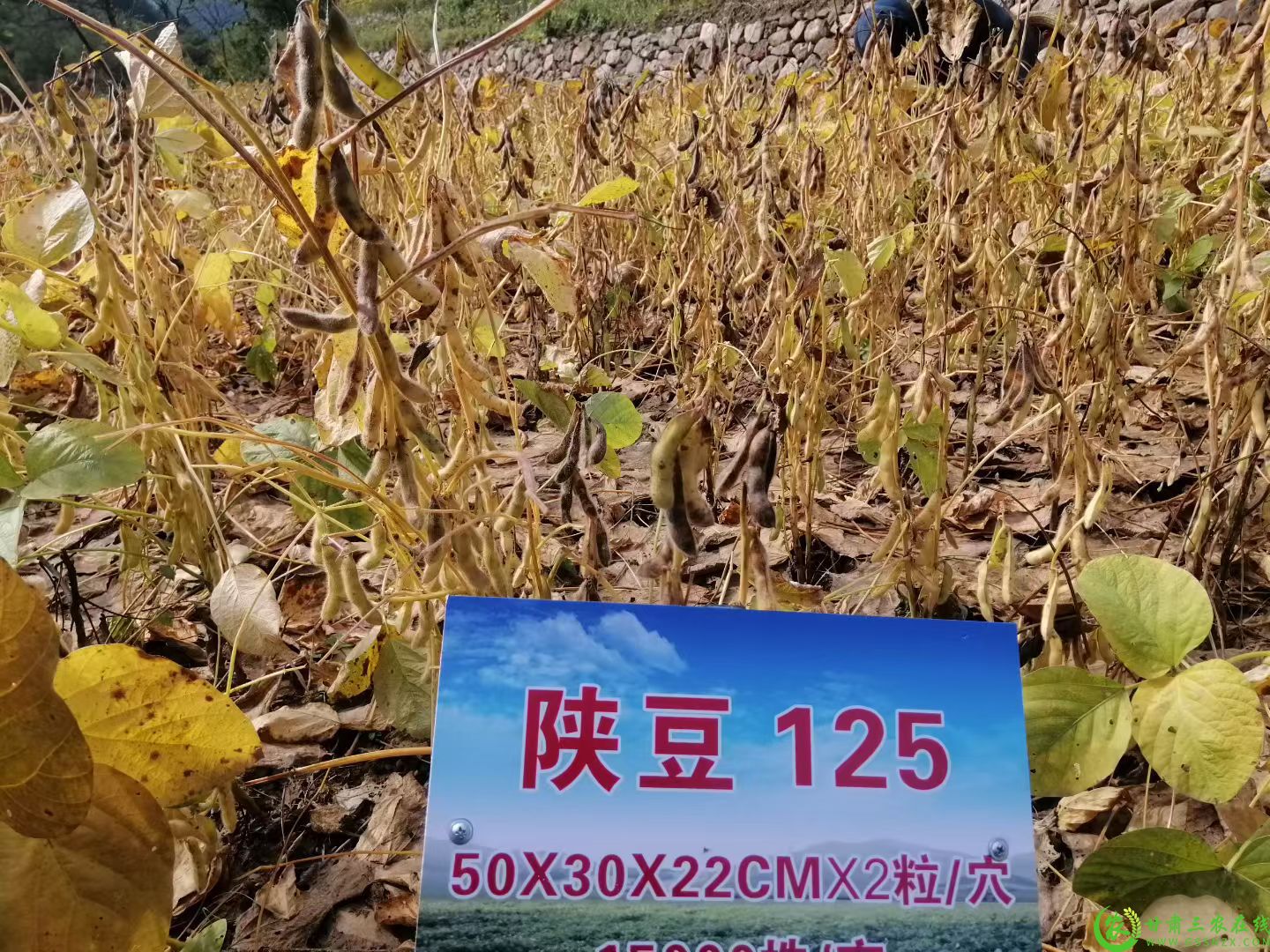 微信图片_20251018160412_417_9.jpg
