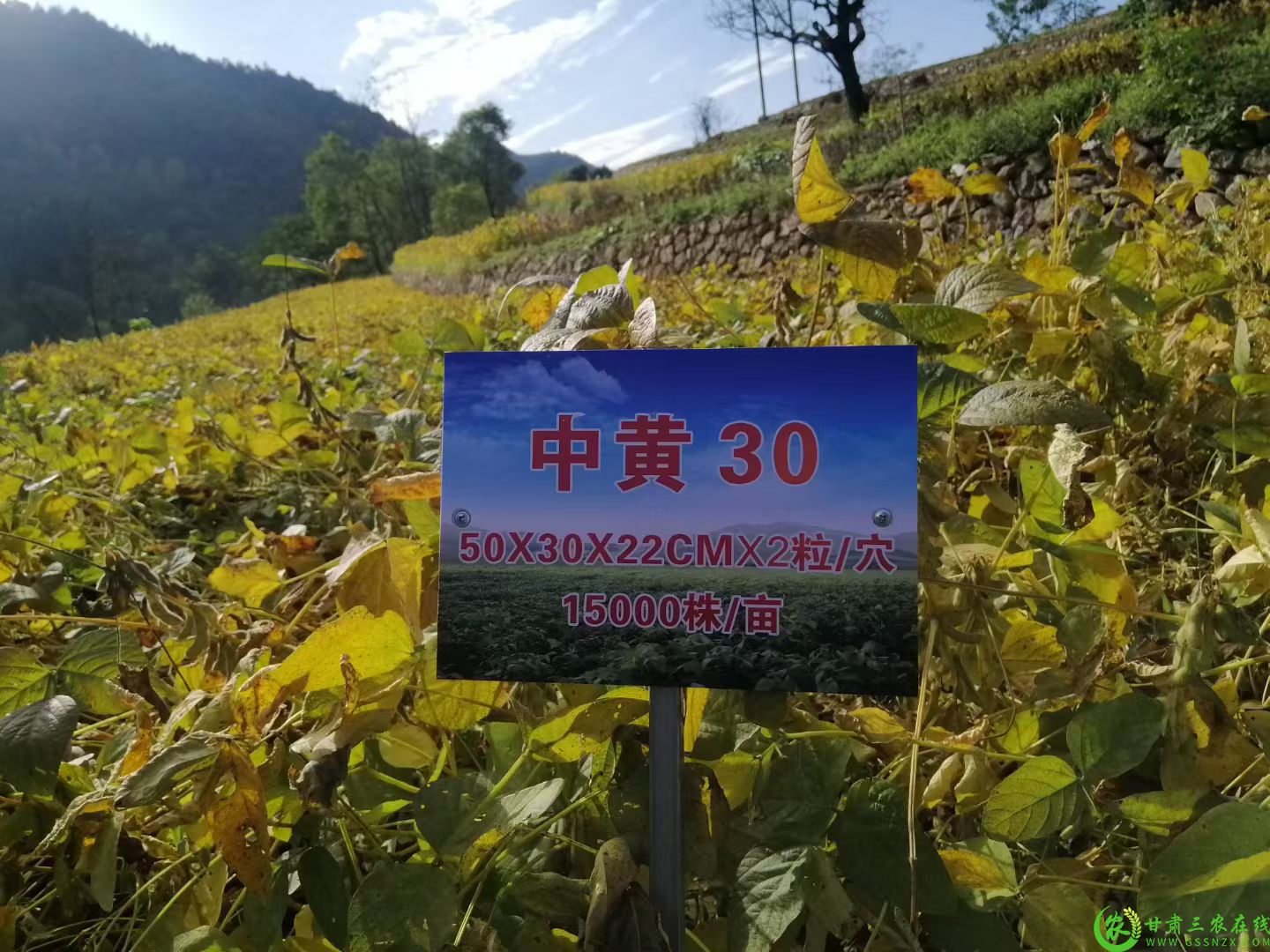 微信图片_20251018160416_421_9.jpg