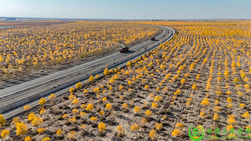DJI_20251016163010_0662_D.JPG