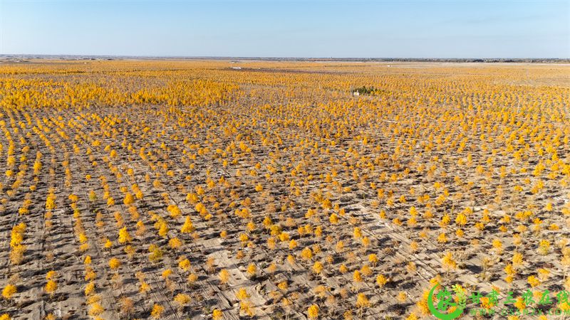 DJI_20251016163026_0664_D.JPG