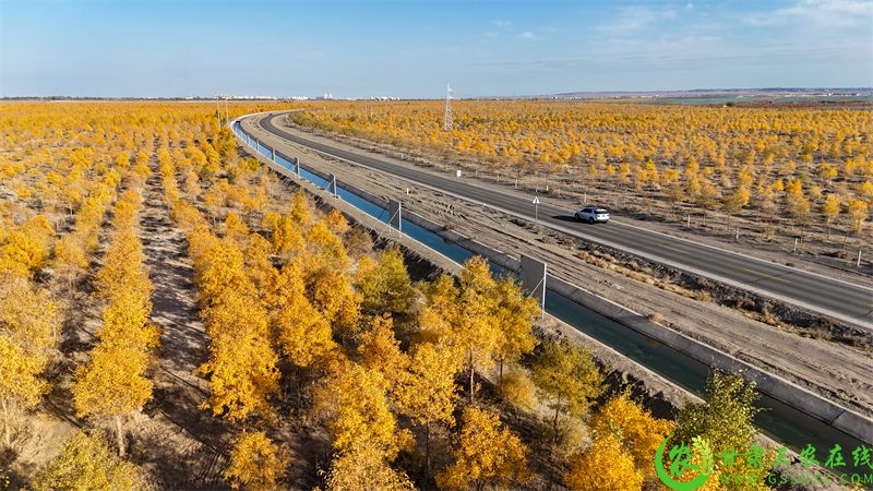 DJI_20251016165453_0013_D.JPG