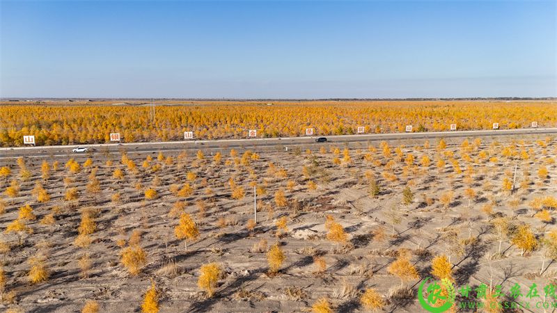DJI_20251016164931_0006_D.JPG