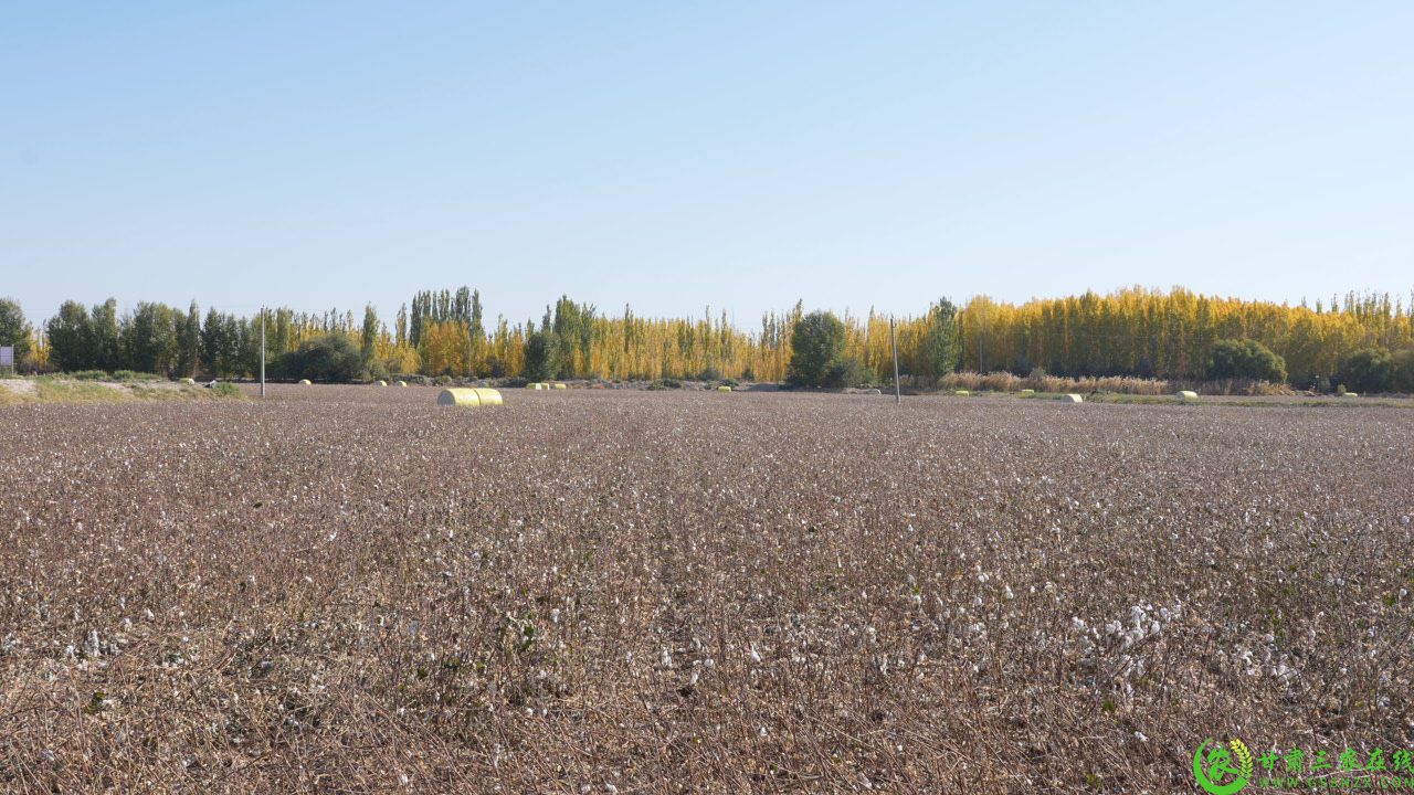 C2482T01.JPG