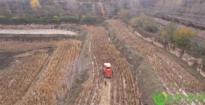 微信图片_2025-10-24_160055_687.jpg